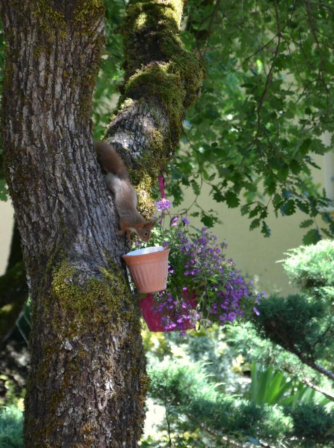 Les Gites De Lescurou Limogne-en-Quercy Dış mekan fotoğraf